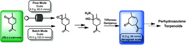 A practical deca-gram scale ring expansion of (R)-(−)-carvone to (R)-(+)-3-methyl-6-isopropenyl- cyclohept-3-enone-1