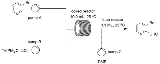 CFMagnesiation