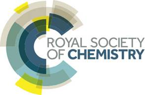 royal society of chemistry conference vapourtec