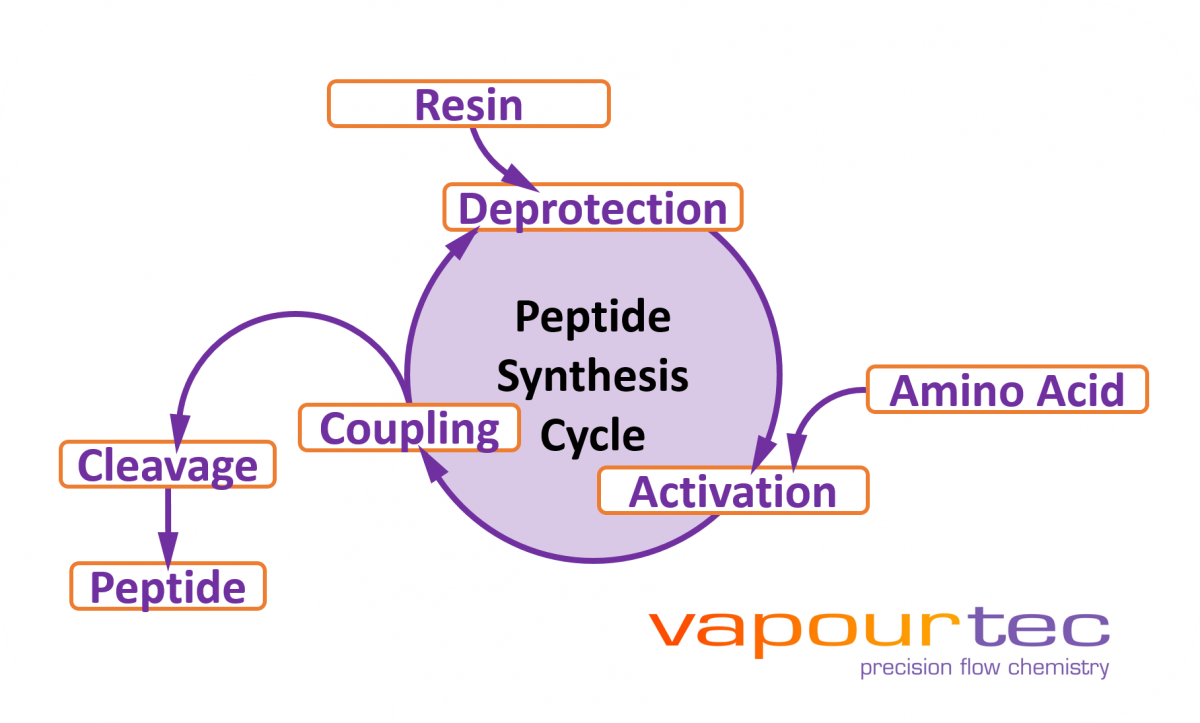 Vapourtec Peptide synthesis Cycle Vapourtec Peptide synthesis Cycle