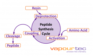 Vapourtec Peptide synthesis Cycle