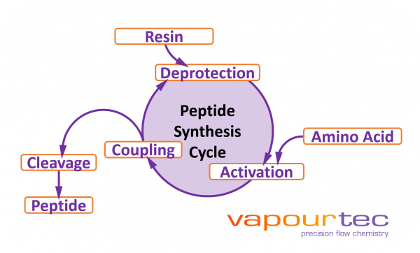 Vapourtec Peptide synthesis Cycle