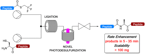 Native Chemical Ligation–Photodesulfurization in Flow
