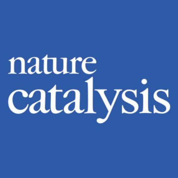 nature-catalysis nature-catalysis