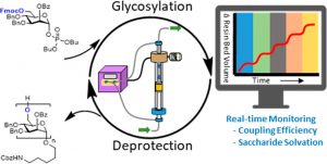 AGA paper graphical abstract - Glycan assembly