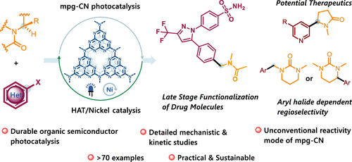 Electrochemical Late-Stage Functionalization