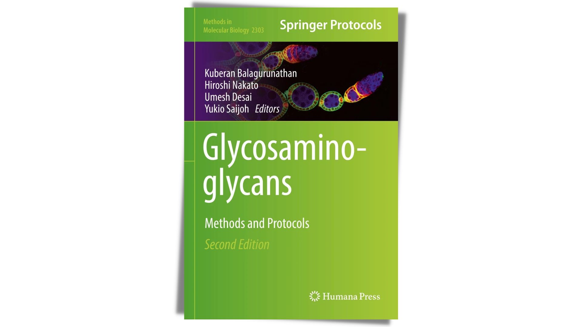 Automated Synthesis of Chondroitin Sulfate Oligosaccharides Vapourtec