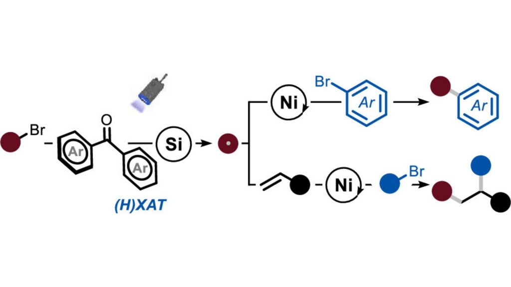 PDF) 1,2,4-Triazines in the Synthesis of Bipyridine Bisphenolate