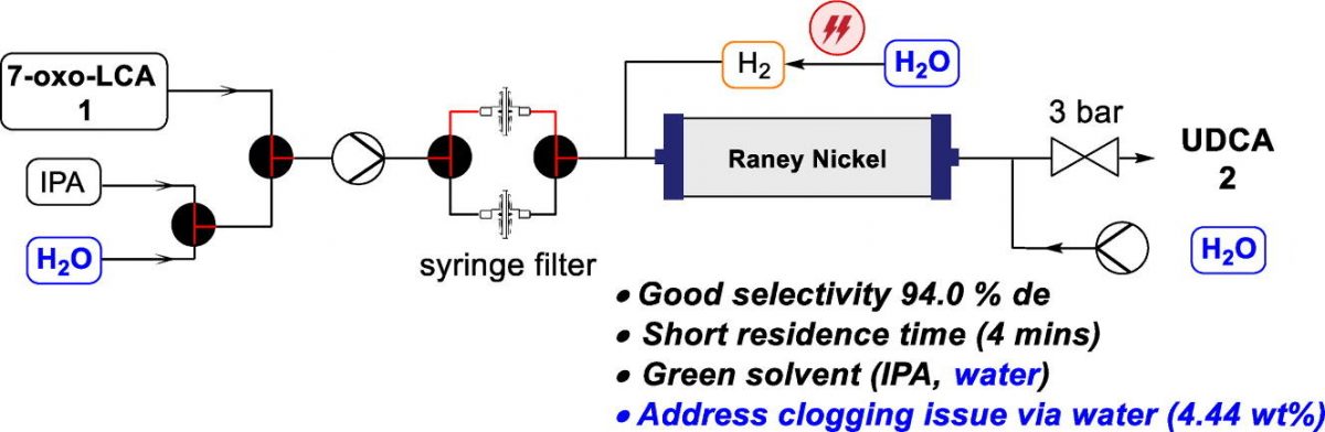 Improving the Sustainability and Safety of Ursodeoxycholic Acid ...