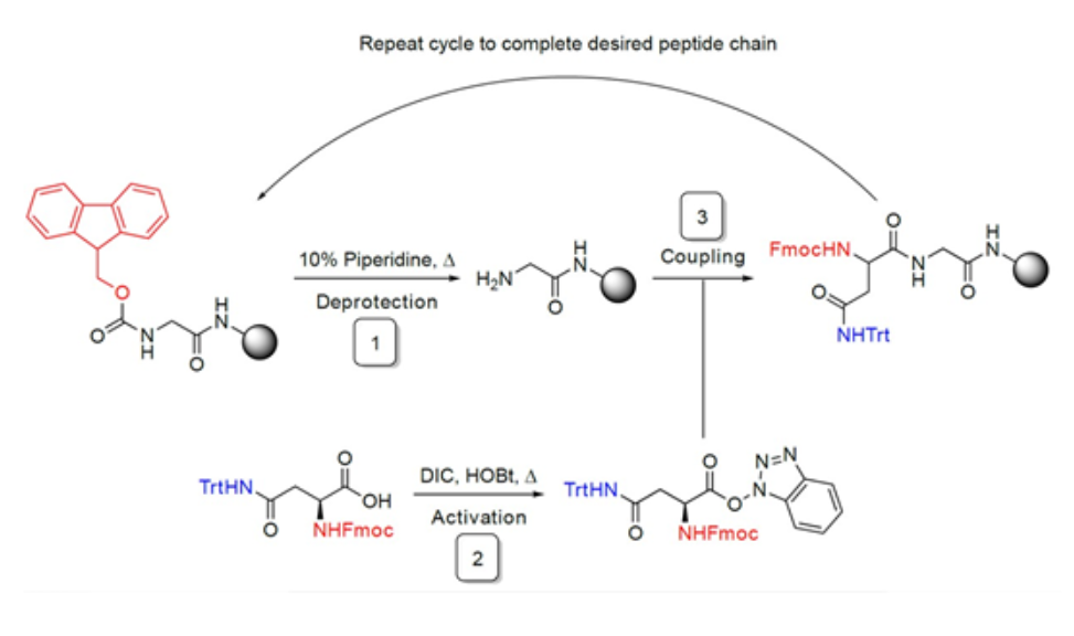 fmoc peptide synthesis