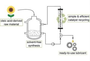 Process Development for the Sustainable and Economic Production of Biobased and Biodegradable High-Performance Lubricants