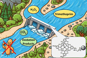 Advancing continuous flow techniques in effective trimethoprim oxidation: combatting bacterial resistance in wastewater