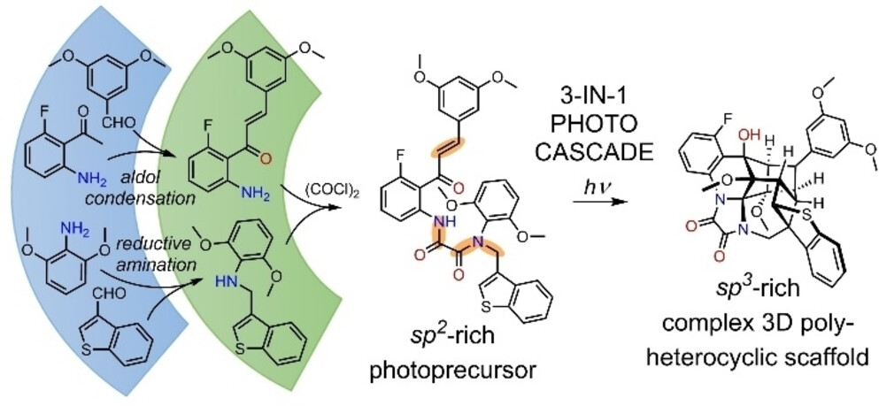 Complexity-Building Exhaustive Dearomatization of Benzenoid Aromatics within an ESIPT-Initiated Three-Step Photochemical Cascade