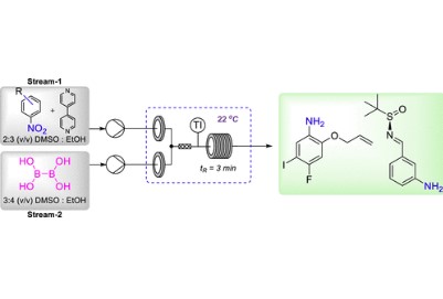 Development of a Safer Continuous Flow Process for B2(OH)4-Mediated Chemoselective Reduction of Nitroarenes to Anilines