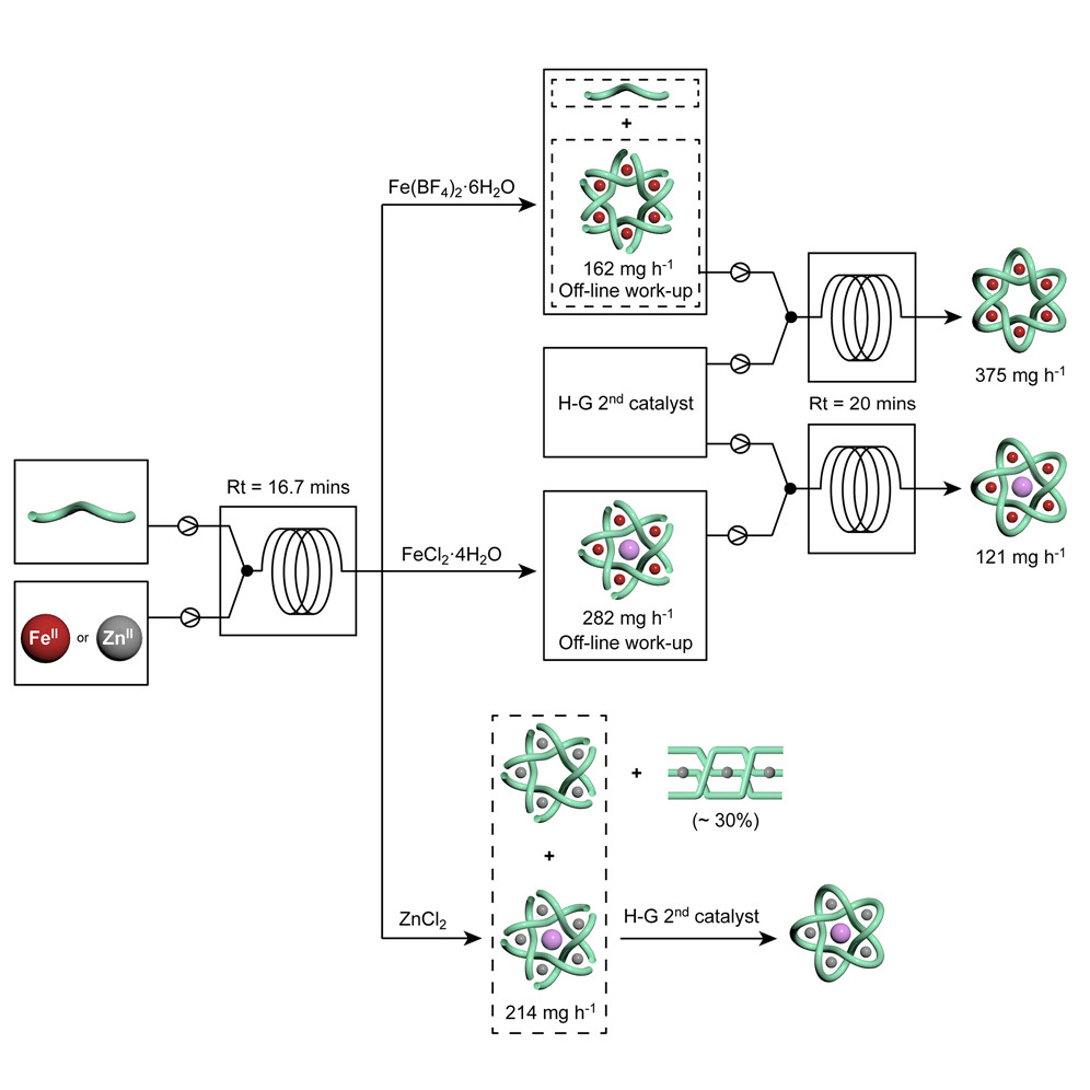 Efficient flow synthesis of a Star of David [2] catenane and a pentafoil knot