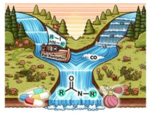 Gas-liquid tubular continuous-flow Pd-catalysed aminocarbonylation process for scalable synthesis of carboxamides