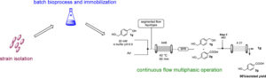 Oxidation of benzyl alcohol derivatives into carboxylic acids with a new Acetobacter malorum strain: boosting the productivity in a continuous flow system