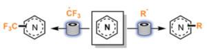 Recent developments in the photoredox catalyzed Minisci-type reactions under continuous flow