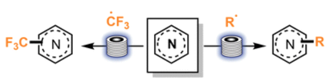 Recent developments in the photoredox catalyzed Minisci-type reactions under continuous flow