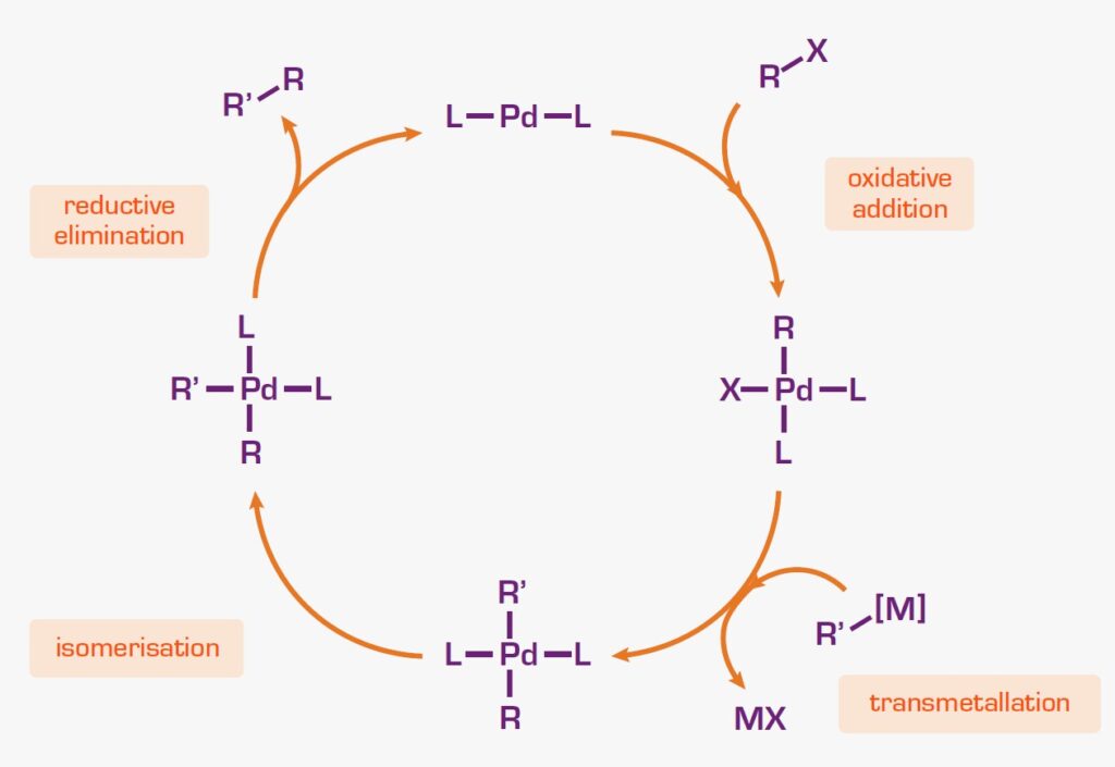 Metal Catalysis