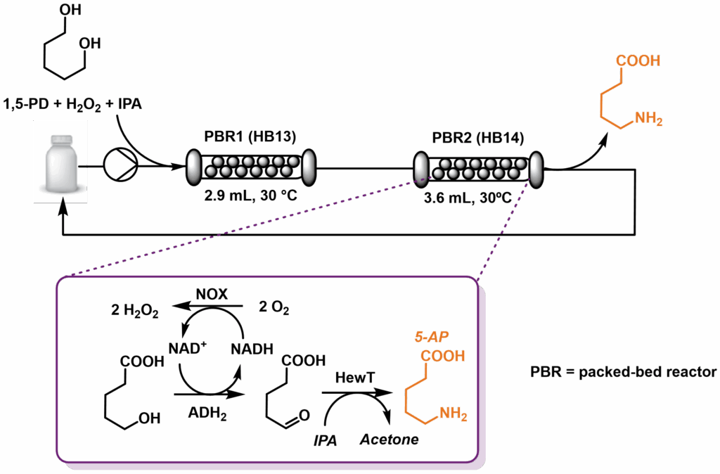 Optimized Spatial Configuration of Heterogeneous Biocatalysts Maximizes Cell-Free Biosynthesis of ω‑Hydroxy and ω‑Amino Acids