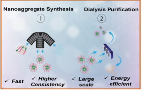 Continuous Flow Block Copolymer Nanoaggregate Synthesis and Their Flow Dialysis Purification