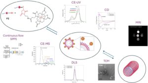From design to formulation of peptide building blocks for nanotheranostic applications: a synergistic multidisciplinary investigation