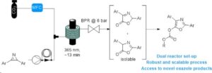 Photocarboxylation of Arylated 2H‐Azirines Exploiting Continuous Flow Technology