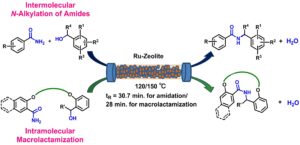 Ruthenium‐Zeolite Catalyzed Dehydrative N‐Benzylation of Amides for the Construction of Macrolactams Under Continuous Flow