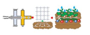 Sustainable fertiliser mesh