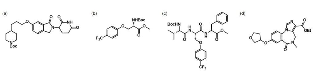 Examples of compounds prepared. (a) Cereblon binder; (b) unnatural amino acid; (c) peptide; (d) drug derivative.