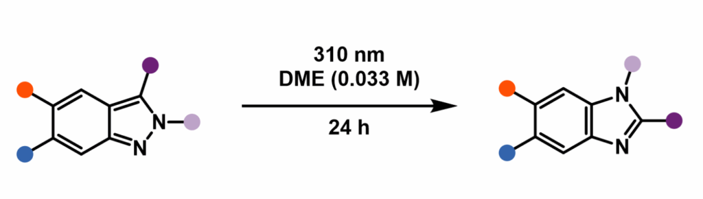 General overview of the phototransposition reaction