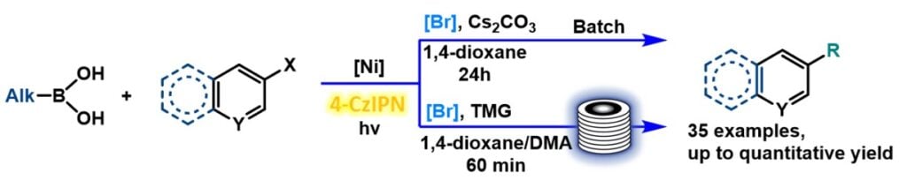 Halogen radicals for a boron-selective activation with no external activators and in a flow-compatible manner