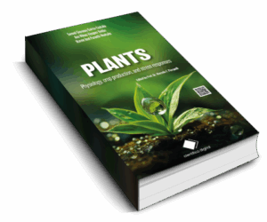 Biofuel from seeds