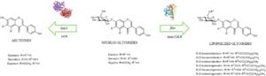Enzymatic Deglycosylation and Lipophilization of Soy Glycosides into Value-Added Compounds for Food and Cosmetic Applications