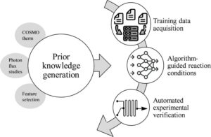 Machine Learning-Driven Optimization of Continuous-Flow Photoredox Amine Synthesis