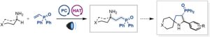 Photoredox-HAT catalysed α-C-H alkylation of primary amines with vinyl phosphine oxides: New building blocks for spiropyrrolidine synthesis