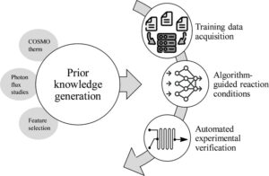 Indazole to Benzimidazole Phototransposition in Continuous Flow