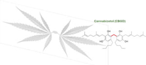 Cannabizetol