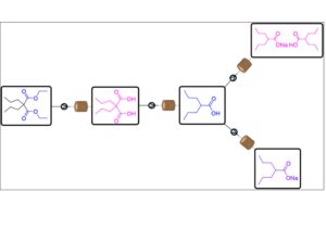 Synthesis of Valproic Acid