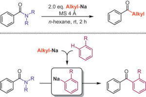 The Transformation of Alkyl- and Aryl-Sodium Reagents with Simple Amides for the Direct Synthesis of Ketones