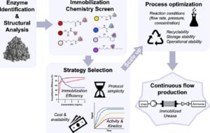 Workflow for evaluating enzyme immobilization and performance for continuous flow manufacturing