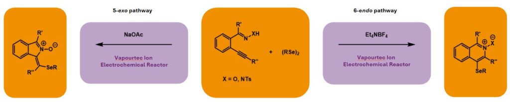 General overview of the Wirth group’s reported electroselenocyclisations