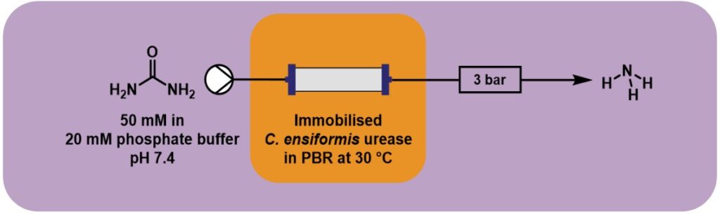 General scheme of ammonia production from urea General scheme of ammonia production from urea