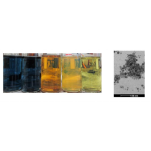 Preparation of Silver Nanoparticles under Continuous Flow Conditions