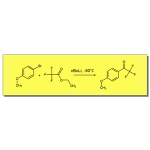 Reaction of Organolithium Reagents using the E-Series