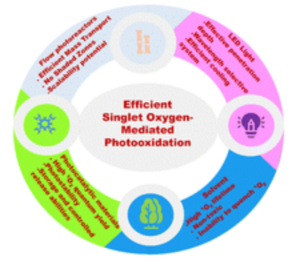 Recent advancements in process intensification for singlet oxygen-mediated photooxidative transformations using flow photoreactors and photocatalytic materials
