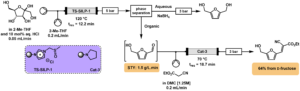 Overview of the flow-based approach for the conversion of D-fructose into HMF