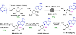 Development of Scalable and Commercial Synthesis for GS-441524
