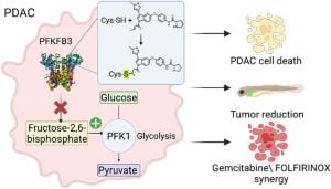 First-in-Class Covalent Inhibitors of PFKFB3